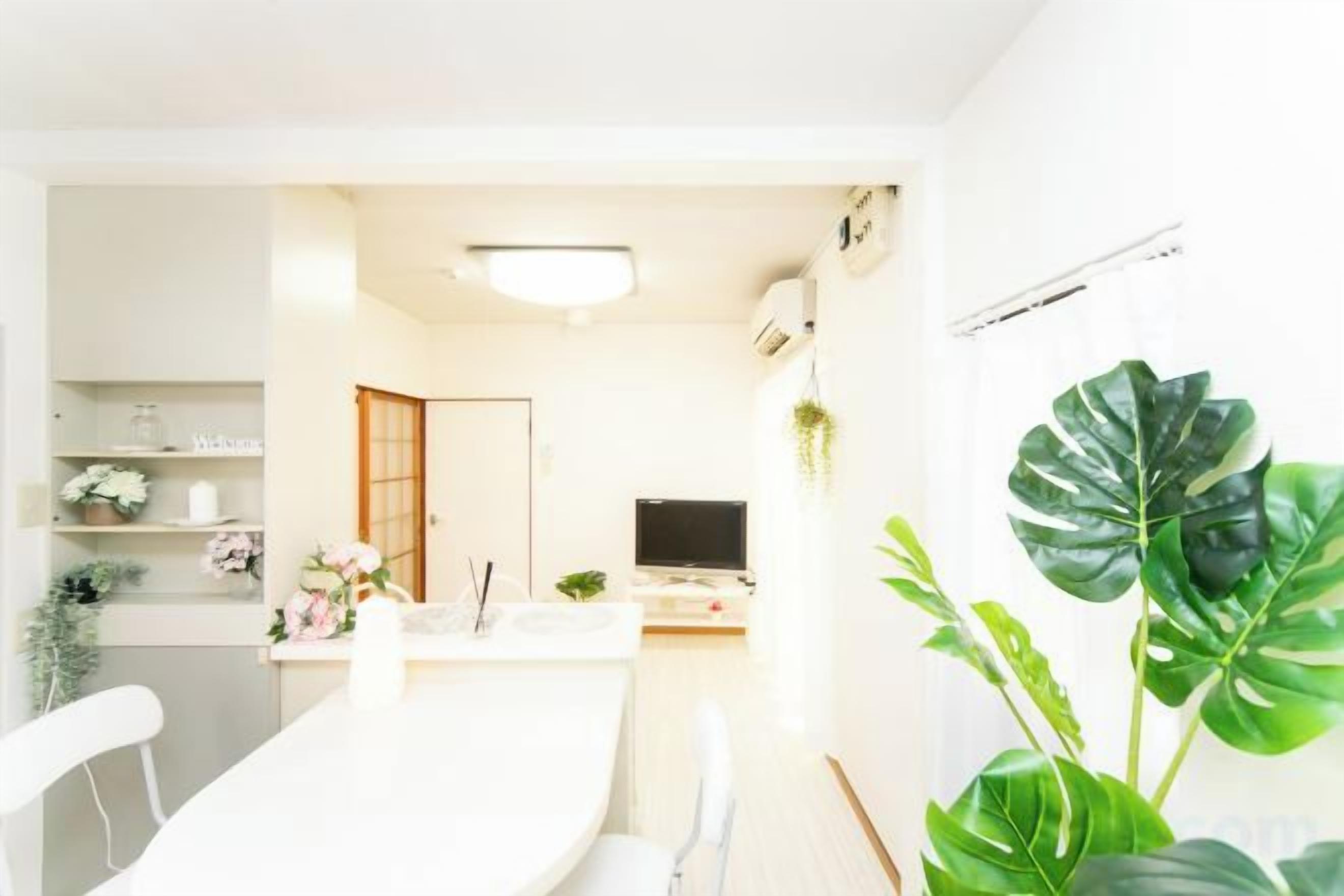 A modern interior with a dining area, a television, and a large plant.