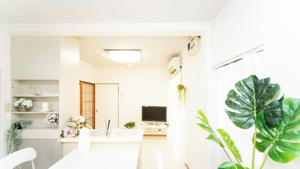 A modern kitchen with a dining area, a TV, and a large plant. - Yokkaichi Nishishinchi Hotel (Yokkaichi)