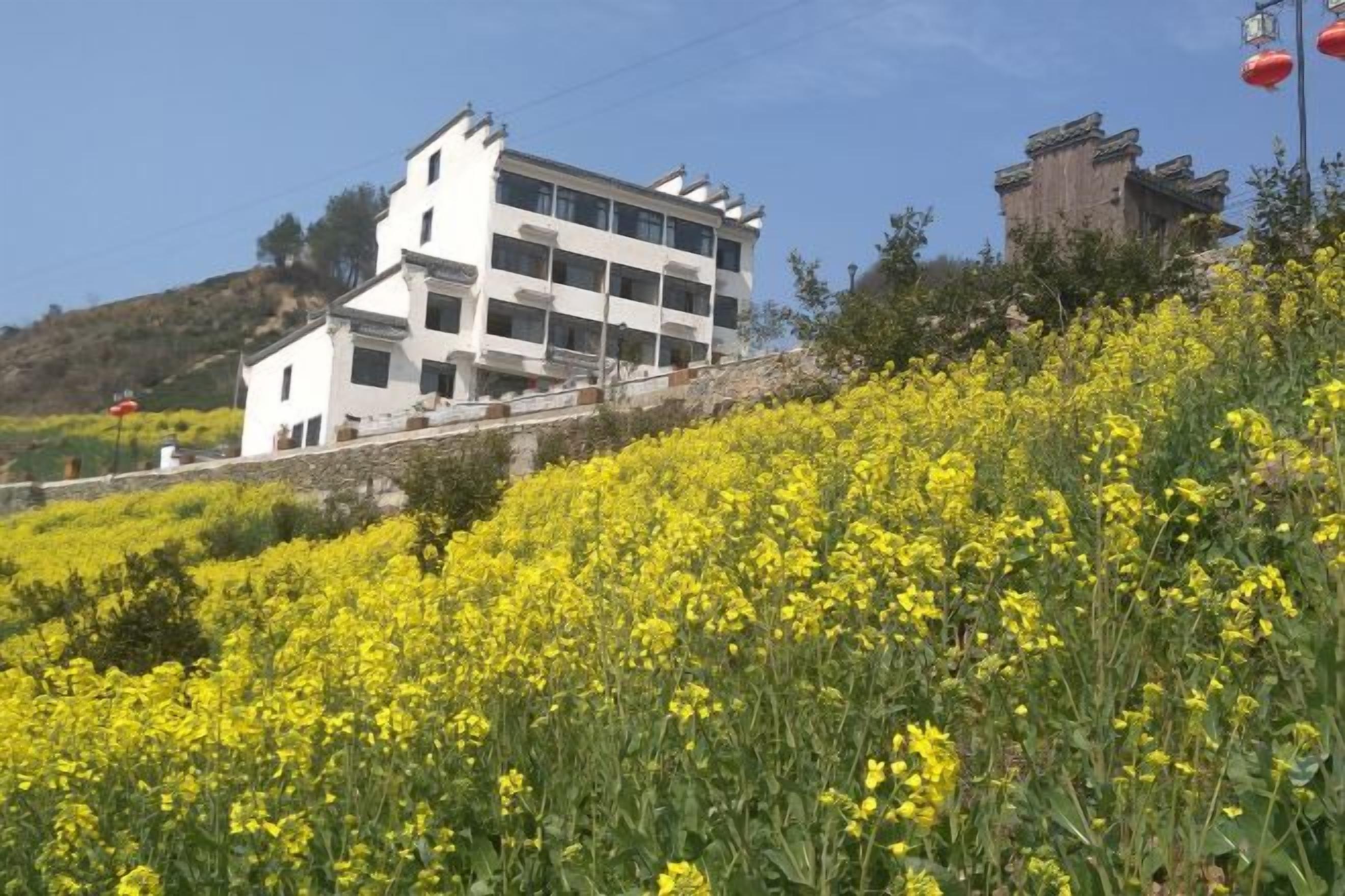 A building with multiple floors, surrounded by a field of yellow flowers.