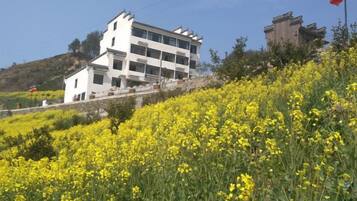 A building with multiple floors, surrounded by a field of yellow flowers.