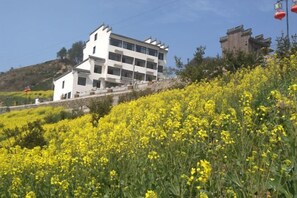 A building with multiple floors, surrounded by a field of yellow flowers. - Evercloud Ecological Farm (She County)