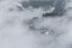 Unclassified image, 5 of 28, button - Evercloud Ecological Farm (She County)