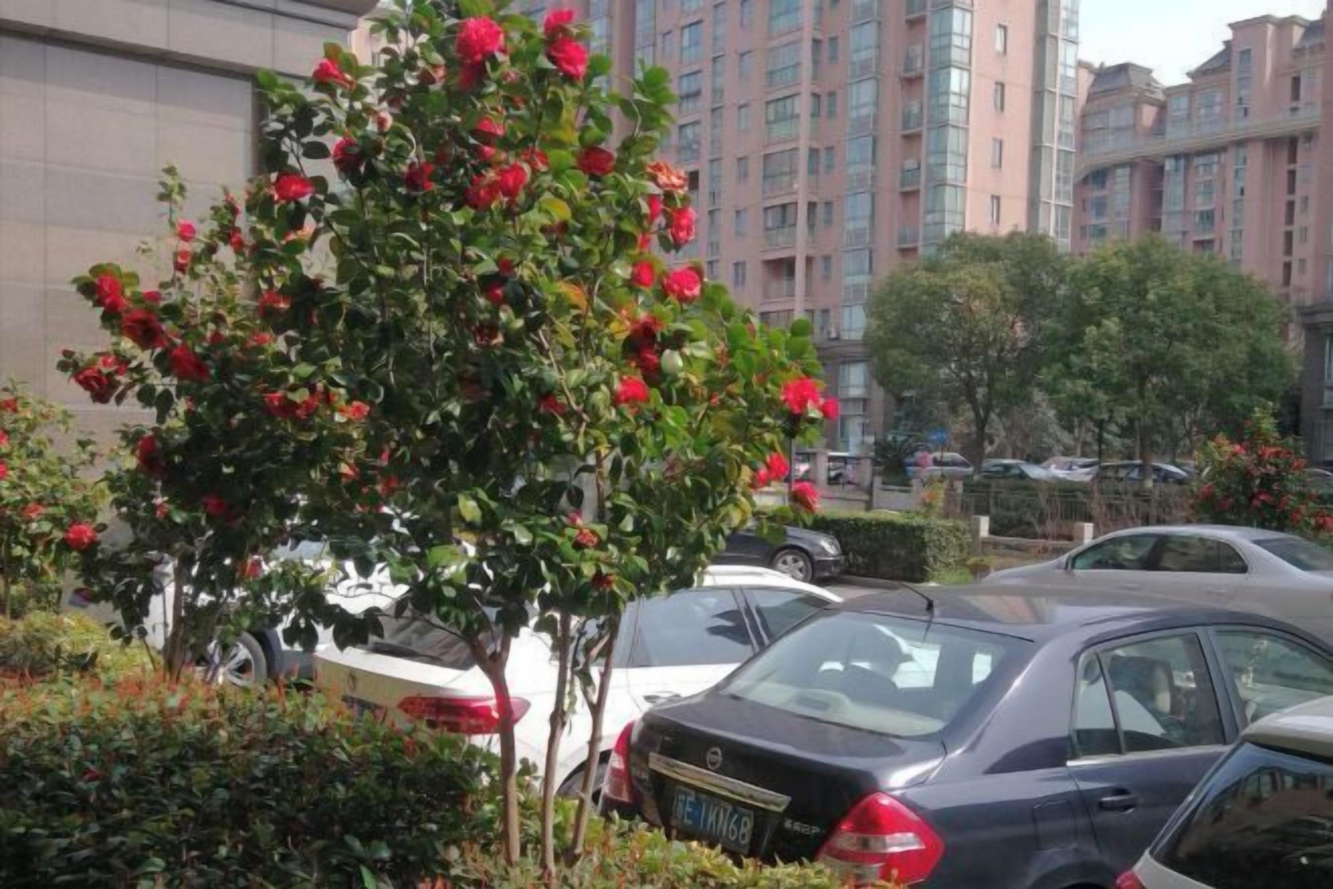 Estacionamento sem manobrista (sujeito a cobrança)