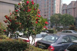 Self-parking (surcharge)