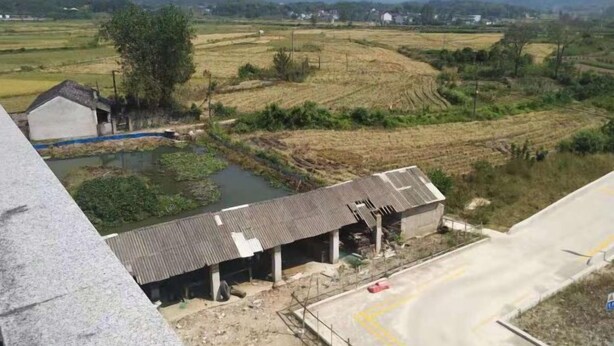 A rural landscape with fields, a small building with a corrugated metal roof, and a paved road. - Jing County Zhenshan Mountain Villa (Jing County)