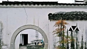 Un patio con un hueco circular, una planta en maceta y un techo tradicional de azulejos.