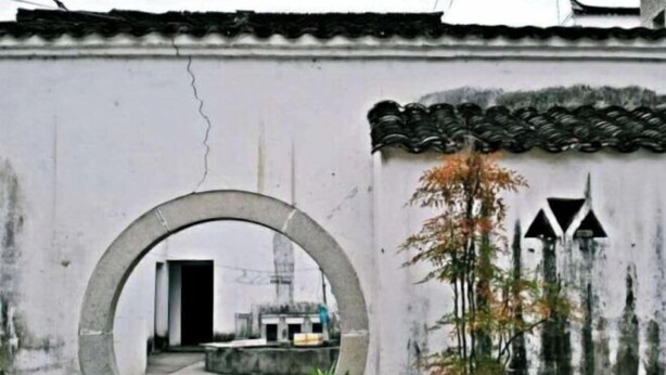 Un patio con un hueco circular, una planta en maceta y un techo tradicional de azulejos.