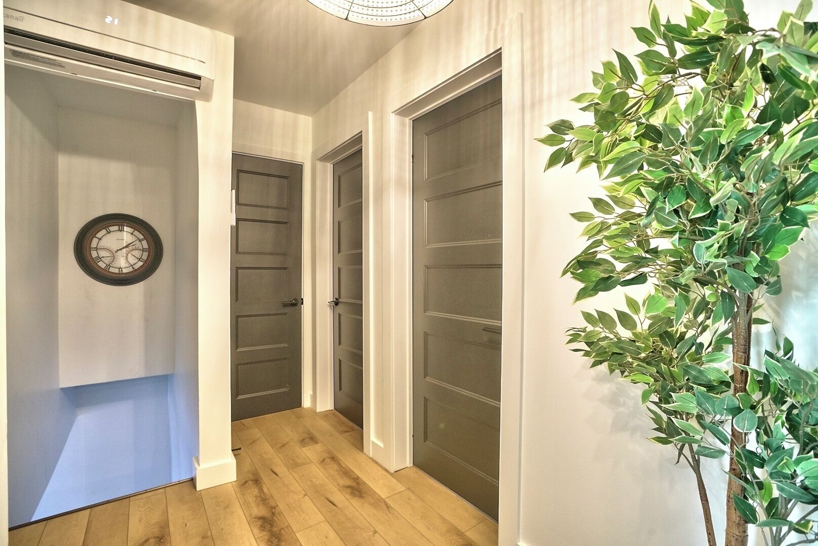 Un couloir avec un plancher en bois, une horloge au mur et une plante en pot.