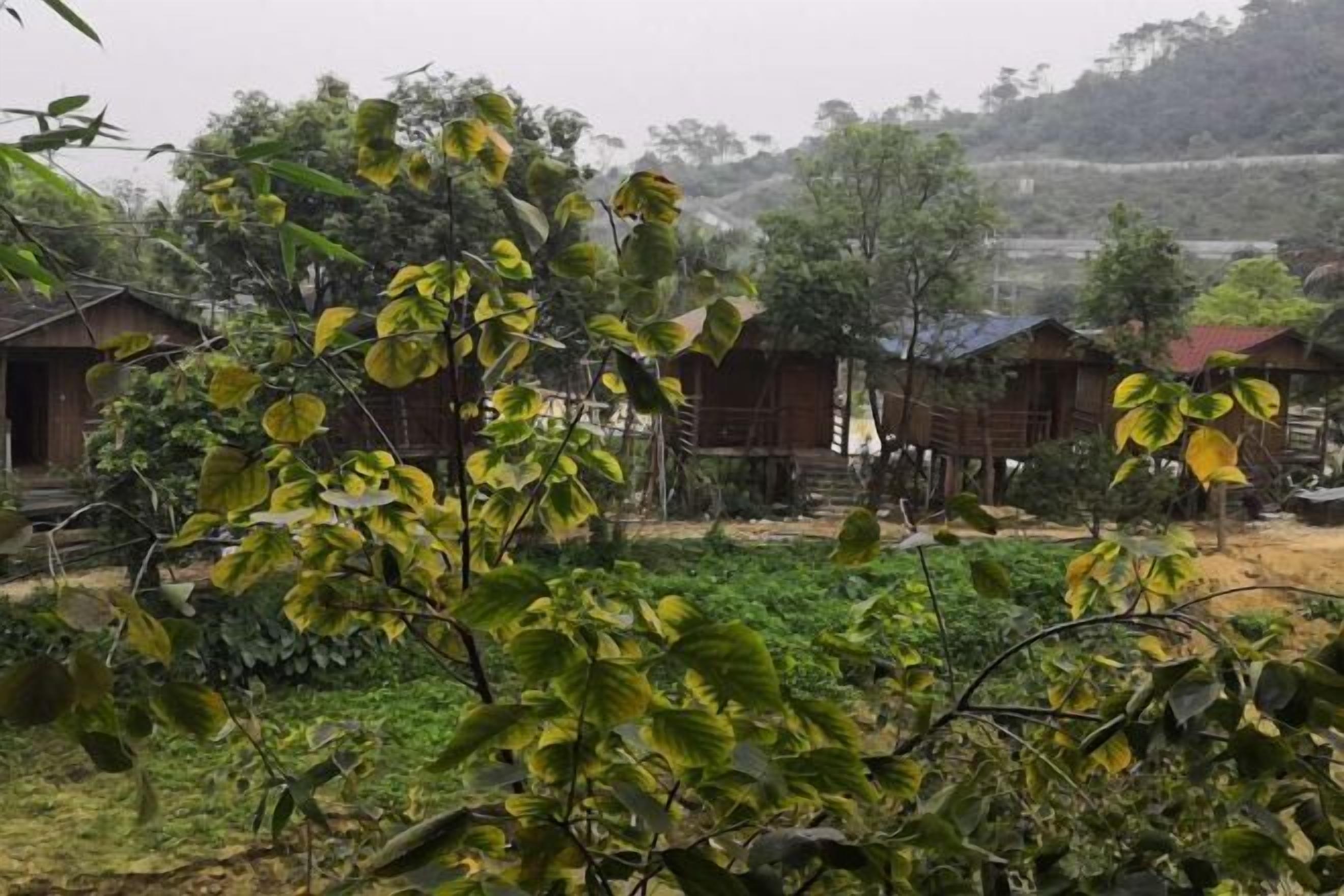 A rural setting with wooden houses, lush greenery, and a hilly backdrop.