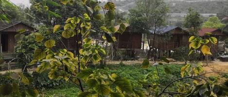 A rural setting with wooden houses, lush greenery, and a hilly backdrop.