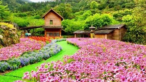 Una casa de madera rodeada de un jardín con diversas flores.