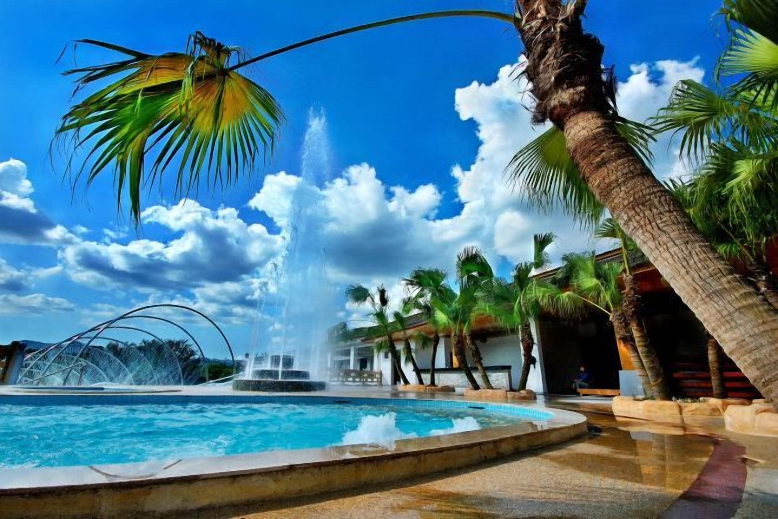 Una piscina con fuente de agua, rodeada de palmeras y un cielo despejado.