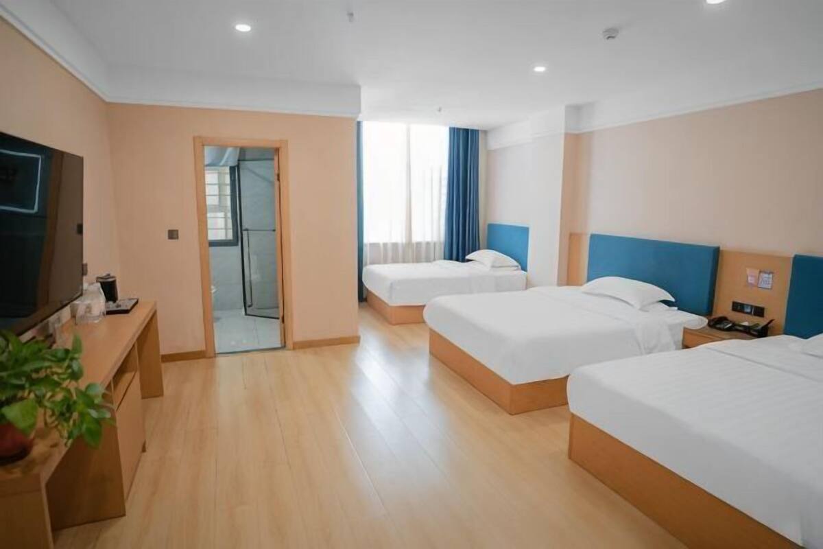 Habitación de hotel con tres camas, televisión, escritorio y una planta.