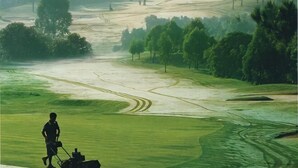 Une personne est en train de tondre un grand champ herbeux, à ciel ouvert, avec des arbres en arrière-plan.
