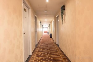 Un pasillo de hotel con paredes estampadas, piso alfombrado y puertas a ambos lados.