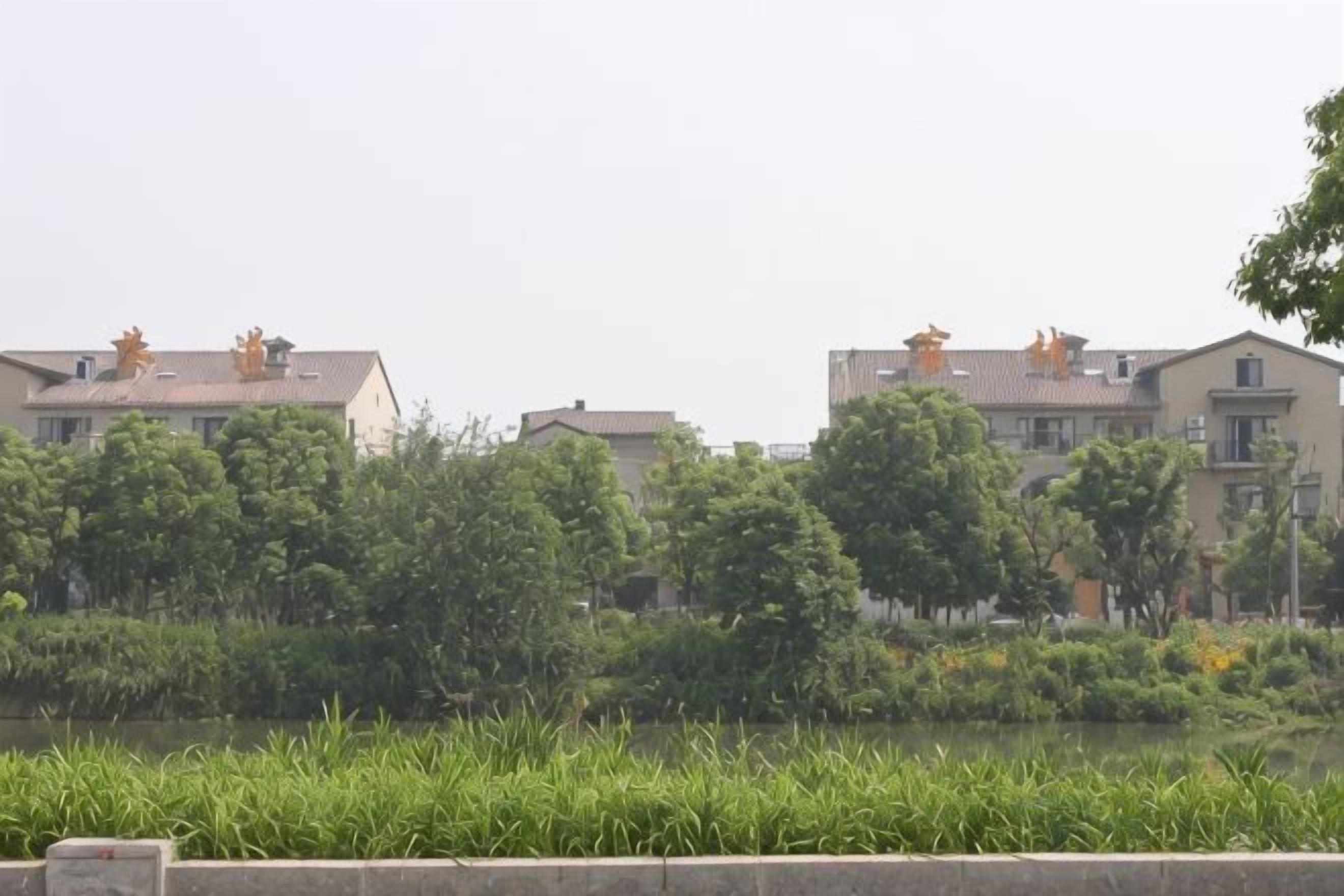 A residential area with buildings, trees, and a body of water.