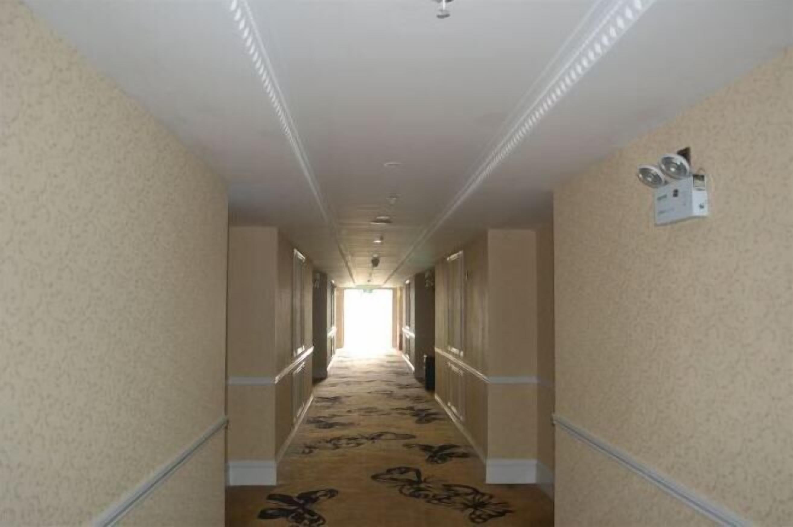 A hotel hallway with carpeted floors, a light-colored wall, and a ceiling with recessed lighting.