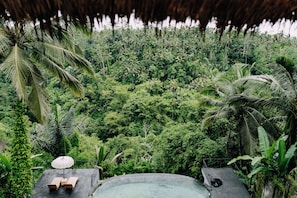 A pool with lounge chairs and an umbrella, surrounded by lush greenery and palm trees. - Stylish 2BR Ubud Villa – Pool & Lush Jungle Views (Bali)