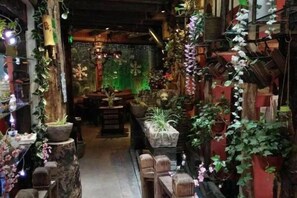 Un espacio interior estrecho con plantas en macetas y muebles de madera, creando un ambiente acogedor.