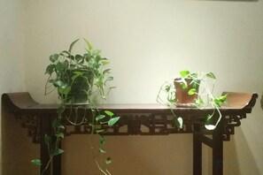 未分類圖片，第 2 張 (共 82 張)，按鈕
