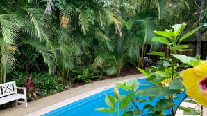 A pool surrounded by lush greenery and a white bench. - Omanu Shelly Beach (Port Macquarie)