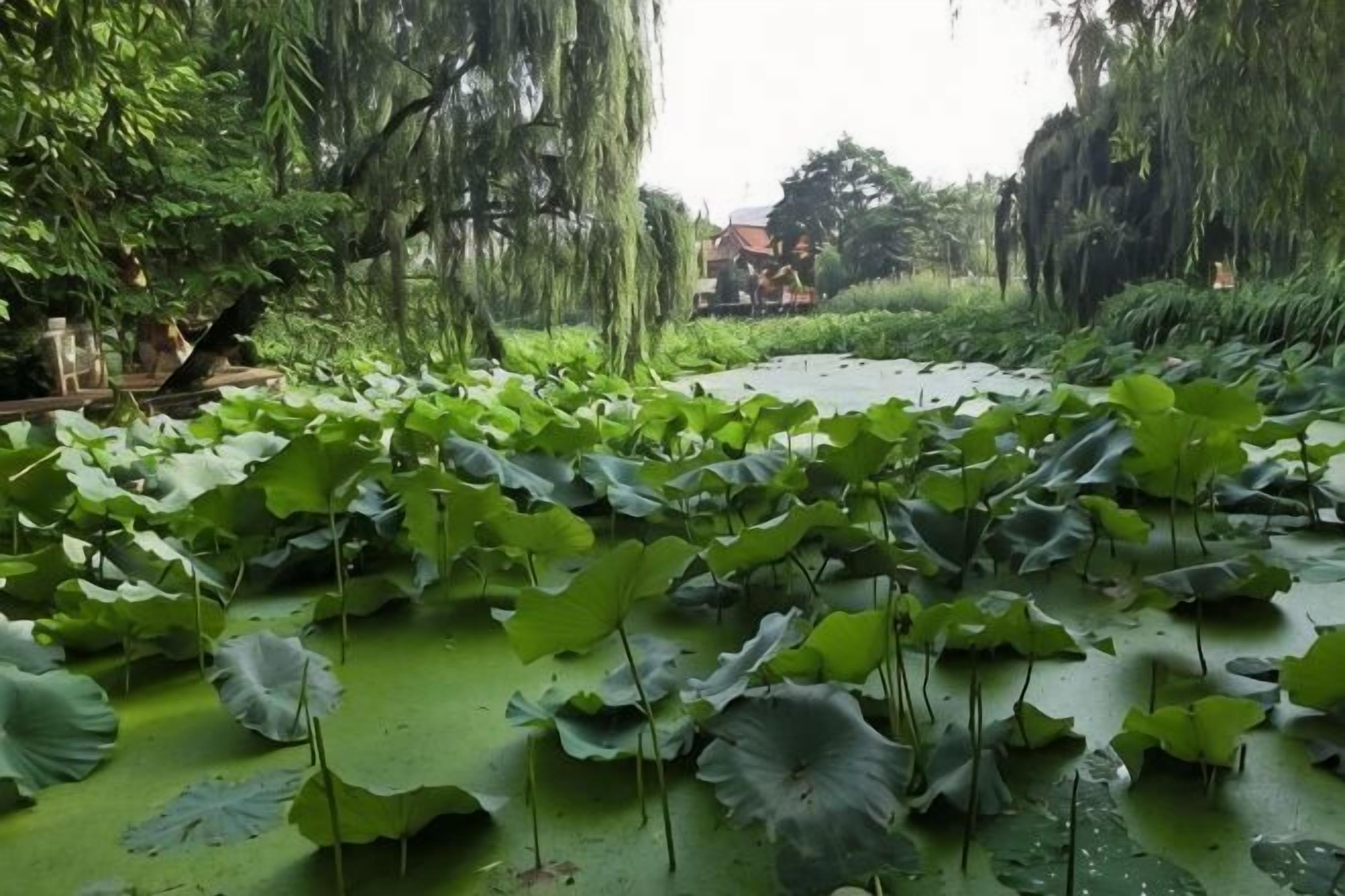 Parco della struttura