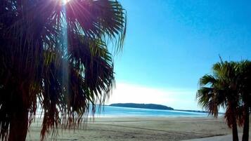 A beach with palm trees and a clear sky.