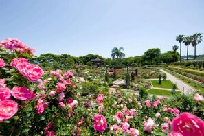 Un jardín con flores rosadas y un sendero.
