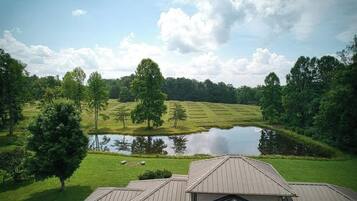A view of a property with a pond, trees, and a grassy field.