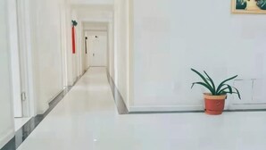 Un passadís net i ben il·luminat, amb una planta en testos a la dreta.
