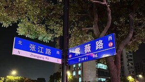 Street signs for Zhangjiang Road and Ziwei Road. - AAliansuojiudian (Shanghai)