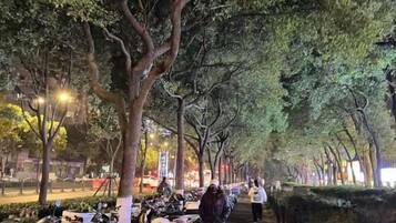 Un camino bordeado de árboles, con bicicletas y motocicletas estacionadas.
