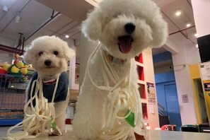 Children's area - Lazy Gaga Youth Hostel (Guangzhou)