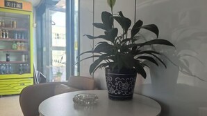 A round table with a potted plant and a glass ashtray. - Ningbo Jinhui Business Hotel (Ningbo)