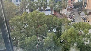 Un grattacielo con vista su una strada fiancheggiata da auto parcheggiate e palme.