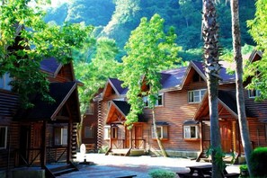 Unclassified image, 4 of 17, button - Master Bear Resort (Taitung)