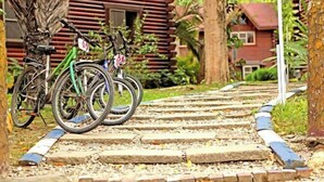 Een pad naar een houten huis, met fietsen in de buurt.