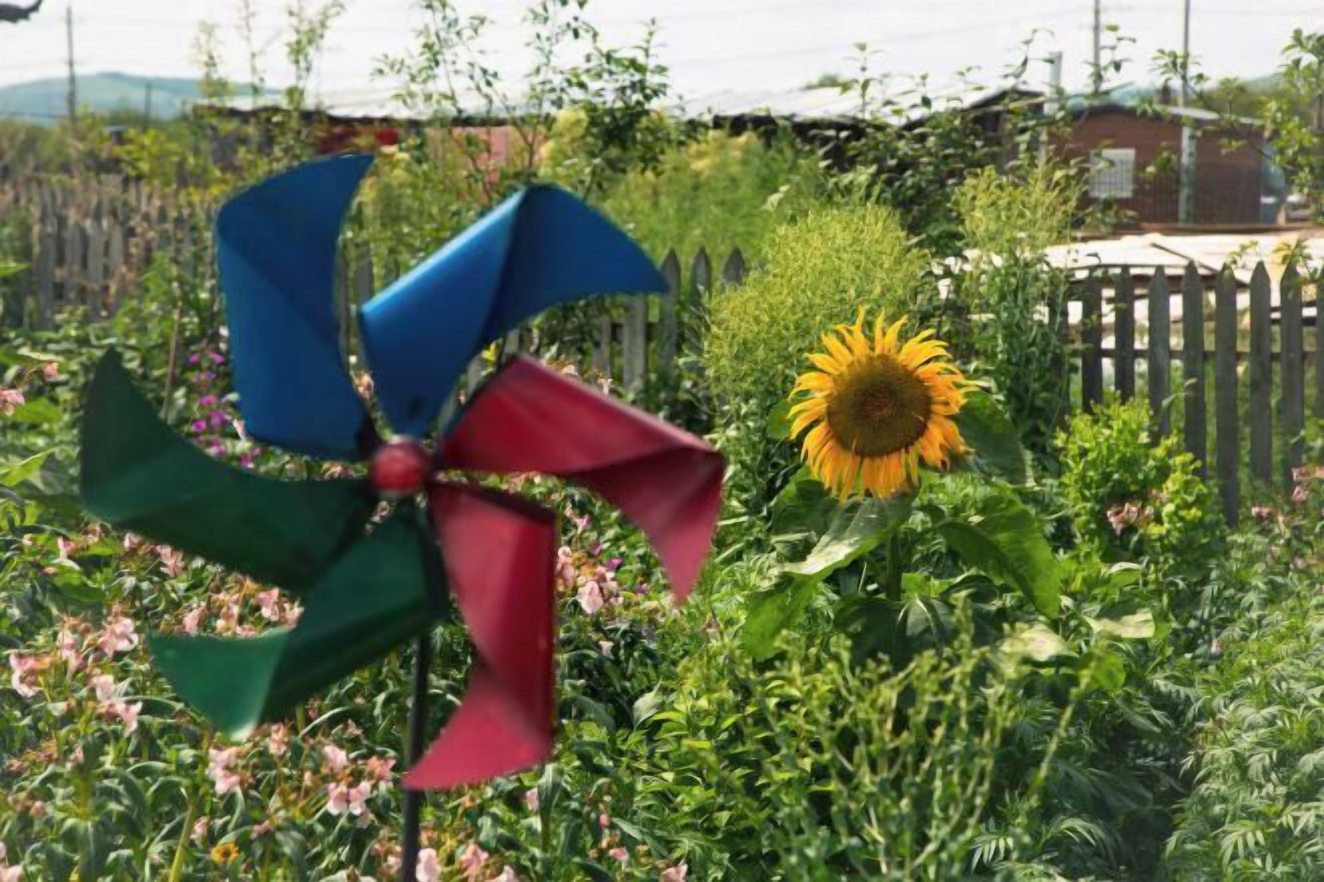 A garden with a pinwheel and a sunflower.
