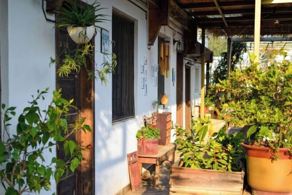 A covered outdoor area with potted plants, a wooden bench, and a door with a number plate.
