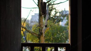 A view through a window with a wooden frame, a tree, and a cityscape in the background. - September Huizhou Inn (She County)