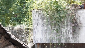 A rustic building with a thatched roof and a concrete wall covered in greenery. - September Huizhou Inn (She County)