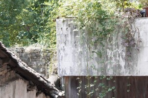 Um edifício rústico com telhado de palha e parede de concreto coberta de vegetação.