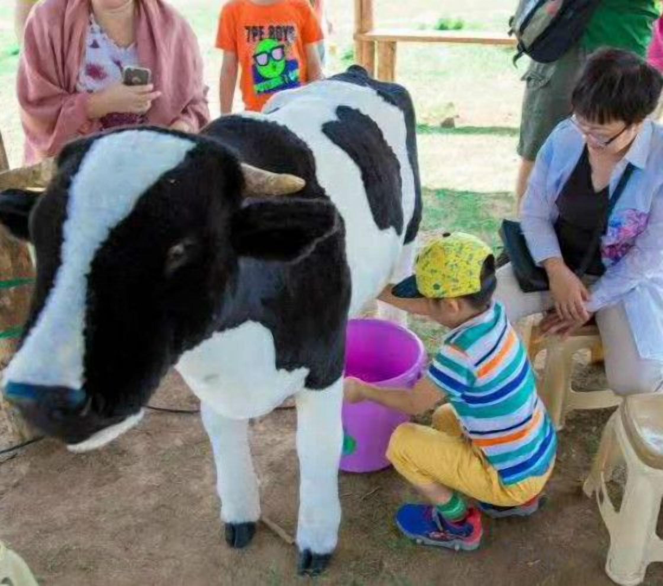 Una vaca de pie en un espacio abierto con gente alrededor.
