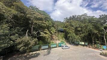 Un espace de stationnement avec une voiture, entouré d’arbres denses et sous un ciel dégagé.