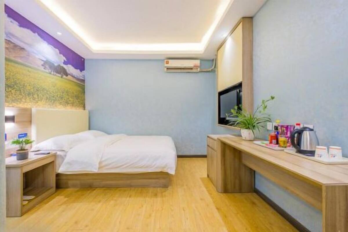 A hotel room with a bed, bedside table, TV, and a desk with a plant and toiletries.
