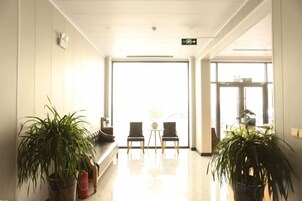 Un vestíbulo de hotel con mostrador de recepción, dos sillas y plantas en macetas.