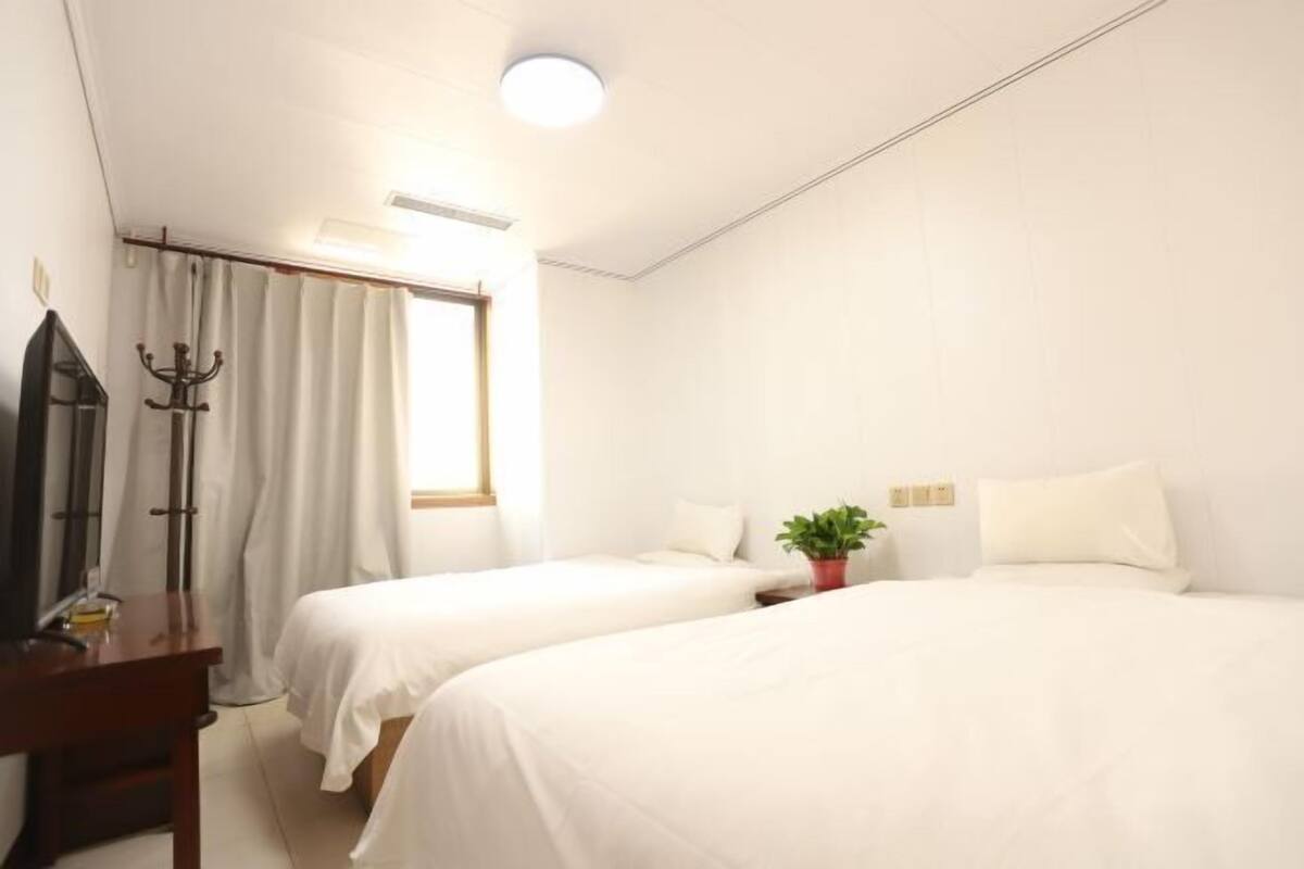 Een hotelkamer met twee bedden, een bureau, een spiegel, een potplant en een raam met gordijnen.