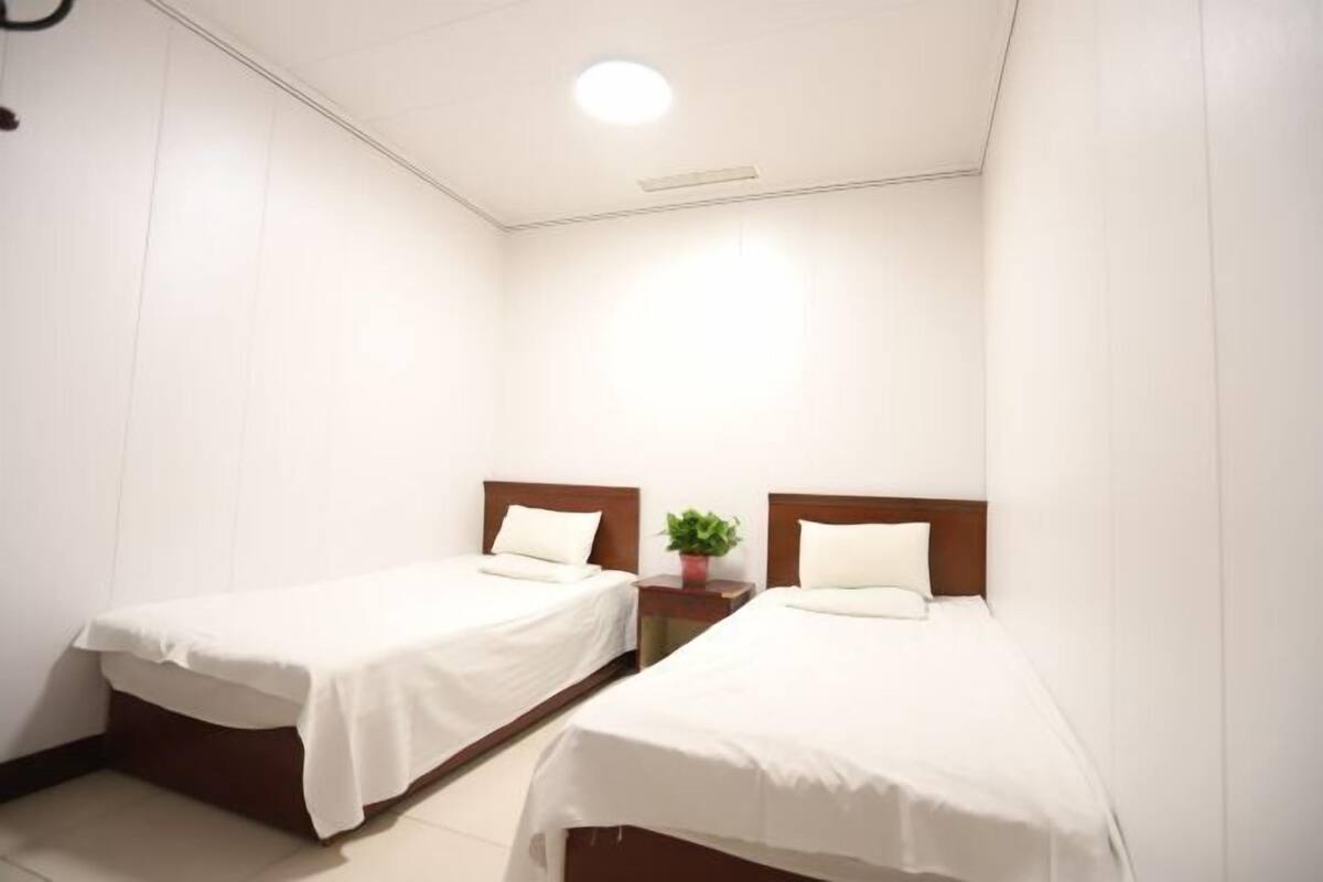 Een hotelkamer met twee eenpersoonsbedden, een klein nachtkastje met een plant erop en een plafondlamp.