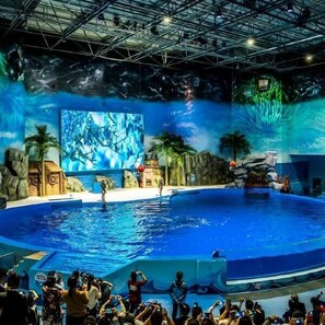 View from property - Jichu hotel (Jingzhou ocean world store) (Jingzhou)