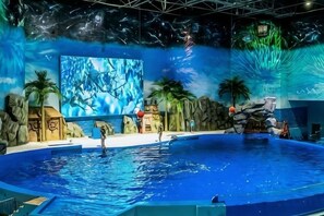 星評価なしの画像、3 / 26、ボタン